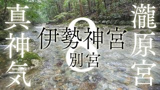 【パワースポット自然音８時間】真の神気ですべてを浄化しエネルギーを活性化する【伊勢神宮別宮・瀧原宮】 [upl. by Kirst]