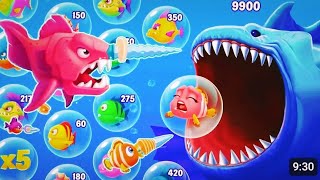 Fishdom Ads  Mini Aquarium Help the Hungry fish new update 103 collect trailer video [upl. by Ermengarde]