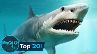 Top 20 Extinct Animals [upl. by Elocal997]