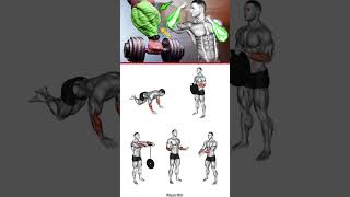 full forearm home workout plan 💪workout shoulder chest sixpack back legs triceps [upl. by Annoid]