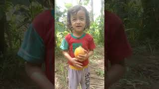 CEPI PANEN PEPAYA meme funny comedy video [upl. by Markman918]