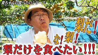 梨日本一の千葉で梨だけを食べたい‼️感動だらけの梨園✨ [upl. by Gobert]