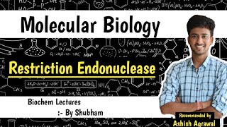 Restriction Endonucleases  Molecular Biology  Biochemistry Lecture [upl. by Kristel70]