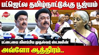 Interim Union Budget 2024  CM MK Stalin Fitting reply to BJP Nirmala Sitharaman [upl. by Etnahs]