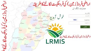 How To Use Nadra e sahulat Fard Record System [upl. by Cornall751]