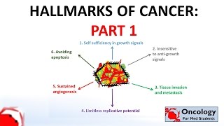 4 Hallmarks of Cancer part 1 [upl. by Koralie]