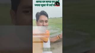 आगड़ दम बागड़ दम वर्षा ज्यादा सूखा कामबुंदेली गायक बलवीर राजपूत [upl. by Lateehs]