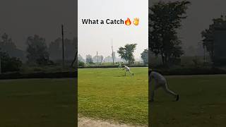 One Handed Catch 👌❤️ cricket gopro cricketlover t20 shorts SunrisersIPL ipl indvsnz video [upl. by Ynna363]