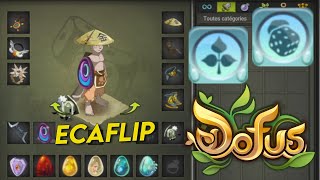 ECAFLIP EAU EST INCROYABLE  100 CRIT [upl. by Nathanoj]