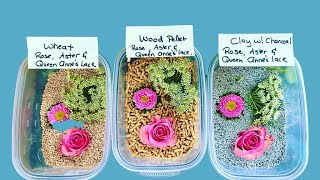 Cat Litter amp Flowers Drying Experiment Part 1 setting it up [upl. by Sherwin297]