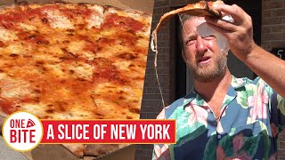 Barstool Pizza Review  A Slice of New York Murrysville PA [upl. by Thom225]