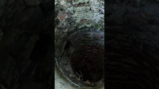 Theres A Dungeon At The Bottom Of This Well [upl. by Arocet752]