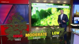 Grass pollen levels expected to increase [upl. by Lillis]