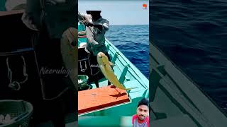 deepseafish deepseafishing fisherman seafishing fishinglife mafish bigfish deepsea fishing [upl. by Ahsikrats]