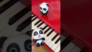 Babybus Play The Piano😂🎹🐼🩷 memes funny xylophone miumiu [upl. by Ennagrom]