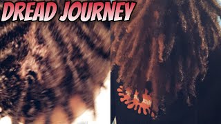 How to get dreads with sponge 6 months Dread journey [upl. by Dusen982]