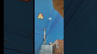 World🌎Smallest Kite Ever Small Patang Flying Kite Lover❤️shorts patangflying small kite viral [upl. by Nonaihr495]