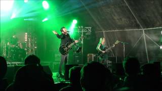 The Wedding Present  Kennedy Indietracks 2017 [upl. by Voleta]