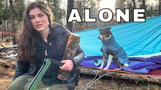 Solo Survival Camping  No tent Coyotes amp Bushcraft [upl. by Airotal]