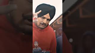 Burberry X sidhu moose wala legend justicforsidhumossewala viralshort attitude [upl. by Animsay]