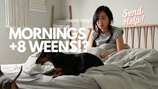 FULL MORNING ROUTINE WITH 8 WEENS [upl. by Ignaz]