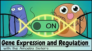 Gene Expression and Regulation [upl. by Kovacs]