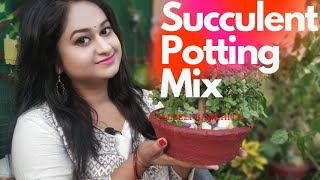 How to Make Soil For Succulents  Best Potting Mix  DIY Cactus Soil Mix soil for Jadesnakewhine [upl. by Ani145]