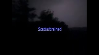 Scatterbrained  Short film [upl. by Eibba]