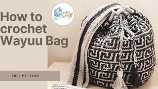 How to Crochet a Wayuu Bag Mochila A step by step guide Part1 [upl. by Htezzil]