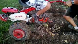 Arracheuse pommes de terre 2013 pour motoculteur  Potato harvester with tiller [upl. by Dane]