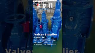 Gate Valve SupplierGNEE carbon steelvalve [upl. by Nikoletta]