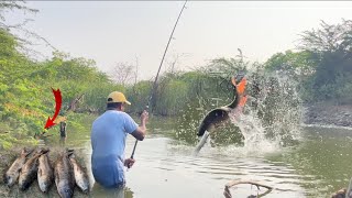 Unbelievable single hook fishing catching big rohu fishes  fish videos ganesh vlogger [upl. by Maureen]