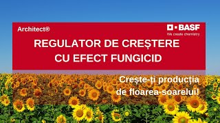 7 Beneficii Architect®  Regulator de Crestere la FloareaSoarelui [upl. by Pouncey995]