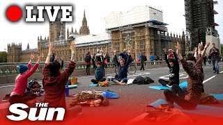 Extinction Rebellion bring Westminster to a standstill  Live replay [upl. by Elianora455]