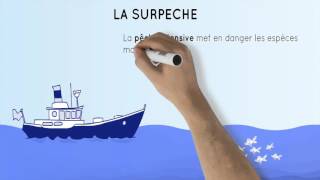 Objectif 14 Vie aquatique [upl. by Ahsyad]