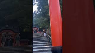 Fushimi Inari Shrine in Kyoto Japan [upl. by Madelin]