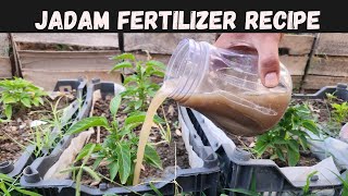 Jadam Natural Liquid Fertilizer A recipe that can make your garden an oasis in days [upl. by Ettesoj]