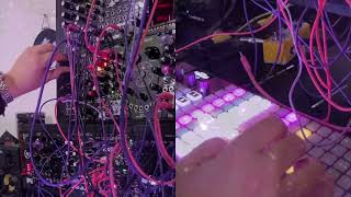 Across Dimensions  Eurorack Modular Jam  Oxi Coral  Osiris  Oxi One [upl. by Bette]