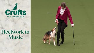 Heelwork To Music Part 1  Crufts 2024 [upl. by Urial]