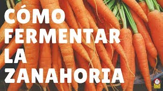 Cómo fermentar palitos de ZANAHORIA una receta muy buena para niños [upl. by Hilda371]