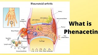 What is Phenacetin [upl. by Albers]