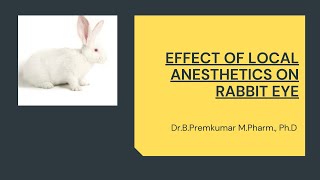 Effect of Local anesthetics on Rabbit eye [upl. by Bordiuk]