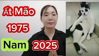 tuổi Ất Mão SN 1975 Nam mệnh xem năm 2025 vận hạn ra sao [upl. by Stephie927]