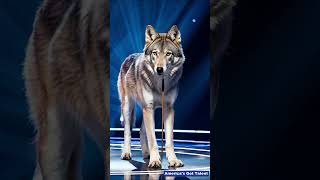 The old lady terrified the audience on AGT americasgottalent agt shorts magic miracle [upl. by Neral]