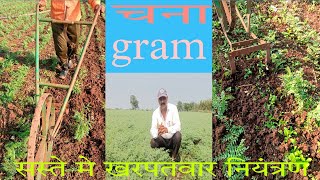 चना मे कम पैसे मे खरपतवार नियंत्रण  gram low cost weed control  हरभरा  ALL AGRICULTURE [upl. by Borman]