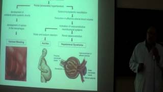 Hepatorenal syndrome prof Hasan El Asklany [upl. by Yesmar]