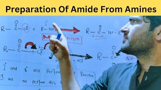 Preparation Of Amide From Aminesreaction mechanism for class 12 [upl. by Donaugh635]