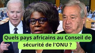 Les deux pays africains éligibles au conseil de sécurité de lONU [upl. by Pizor]