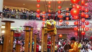 CNY2011  Acrobatic Lion dance múa lân 高桩舞獅表演 by Kwong Ngai 光艺  Mid Valley Megamall Kuala Lumpur [upl. by Ogdon]