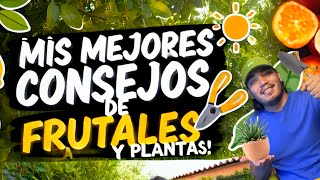 SECRETOS Mis Mejores CONSEJOS para CUIDAR PLANTAS y frutales saludables [upl. by Trenna]